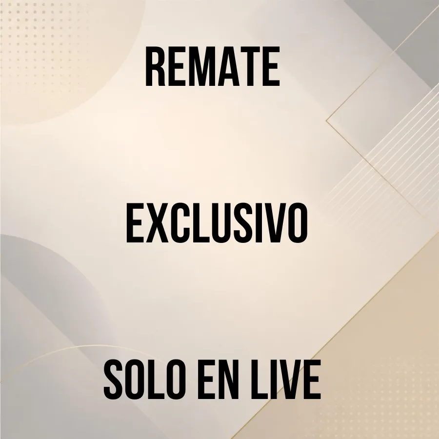 REMATE 13537